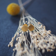 Lade das Bild in den Galerie-Viewer, Ohrringe mit 750er Gold vergoldet
